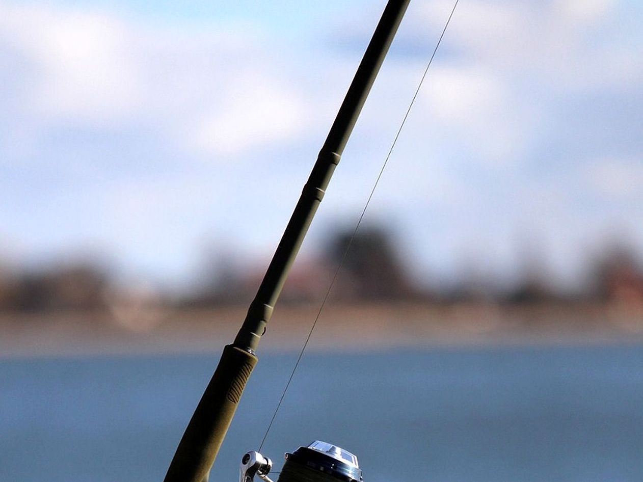 Temporadas de pesca